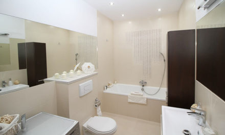 Wysyłka urządzeń sanitarnych kurierem DPD